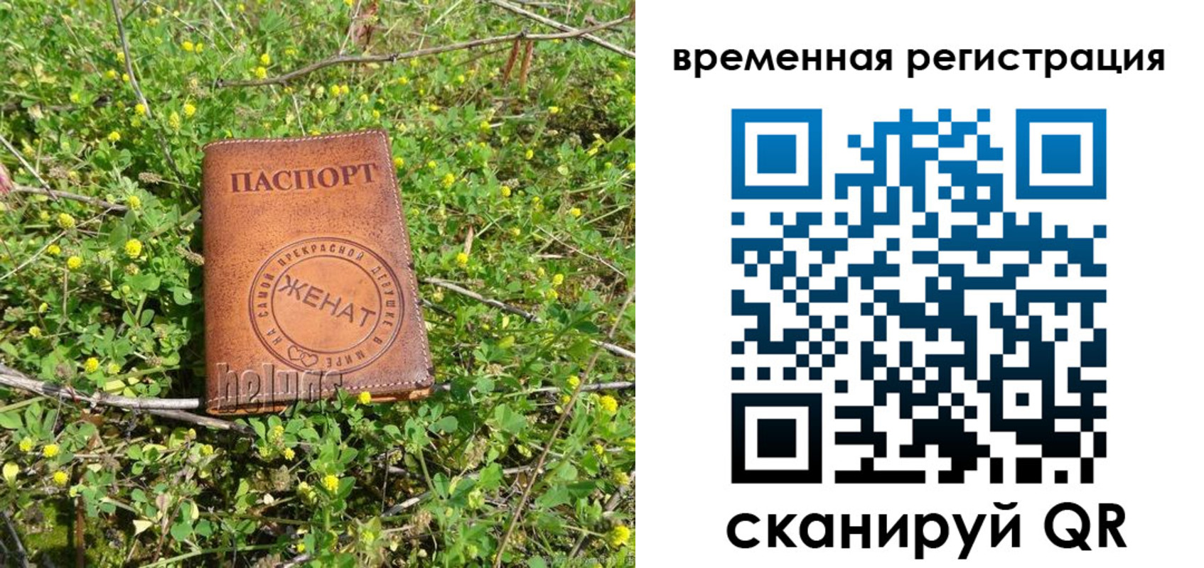 прописка регистрация в Черепаново